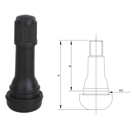 ΒΑΛΒΙΔΑ ΕΛΑΣΤΙΚΗ  