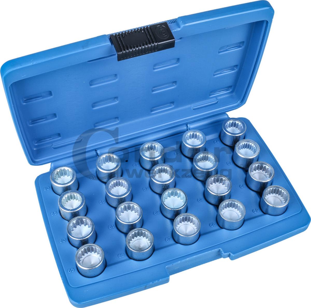 ΣΕΤ 20ΤΕΜ.ΘΗΛ.ΚΑΡΥΔΑΚΙΑ ΜΠΟΥΛΟΝΙΩΝ ΑΣΦΑΛΕΙΑΣ ΤΡΟΧΩΝ ΓΚΡΟΥΠ VW